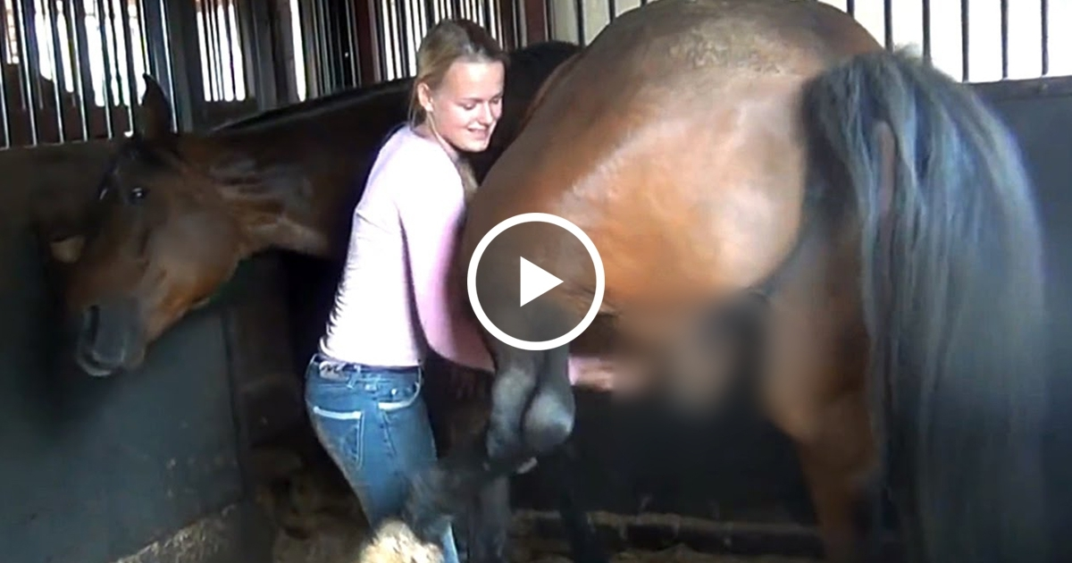 Iata ce ii face Femeie acestui animal CAL ! In fiecare zi ea se apropie de el si.. vezi VIDEO