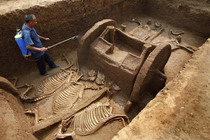 Aceste descoperiri arheologice pur accidentale au uimit lumea