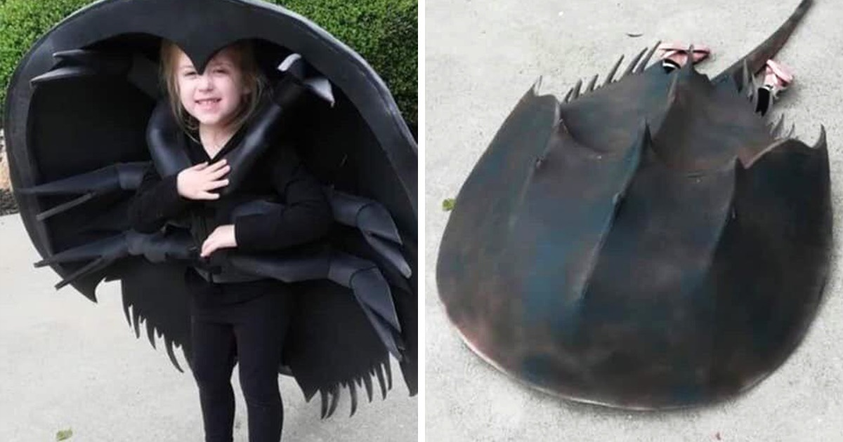 18 Profesionisti intr-ale deghizarii care ne arata cum a fost Halloween-ul 2020