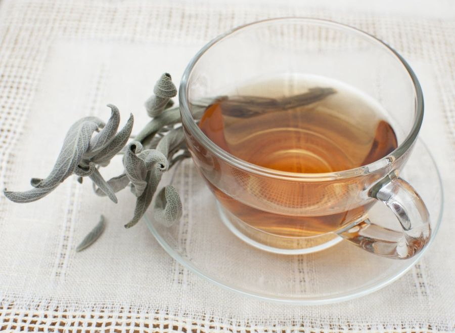 Salvia, planta care întăreşte trupul şi mintea