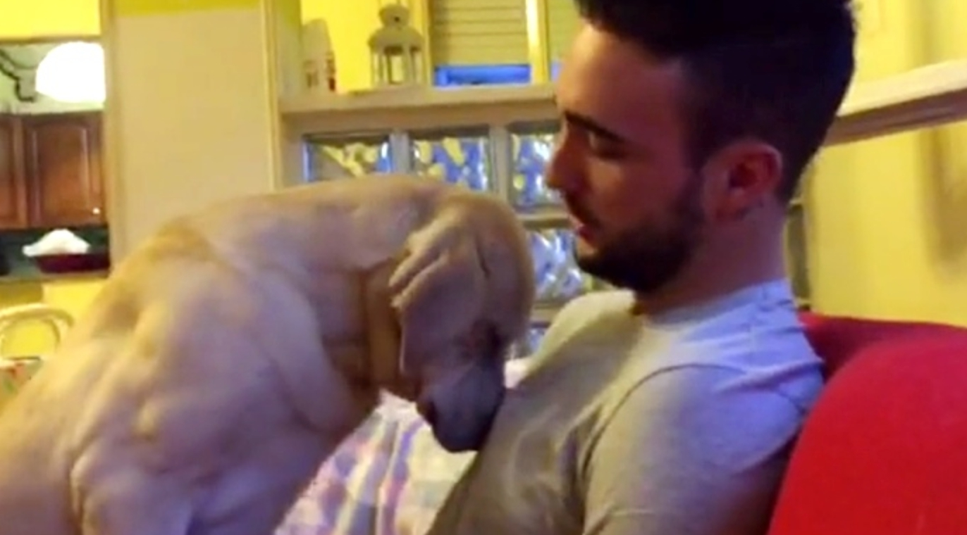 Barbatul mustra cainele vinovat, dar nu se astepta la adorabilul „te rog sa ma ierti